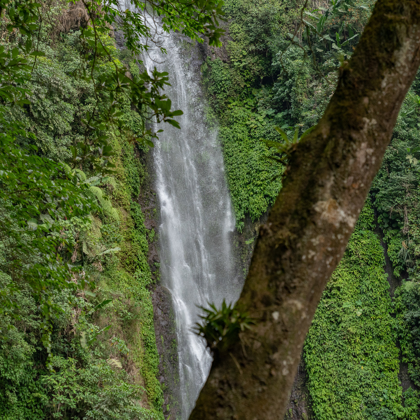 Guatemala El Vergel