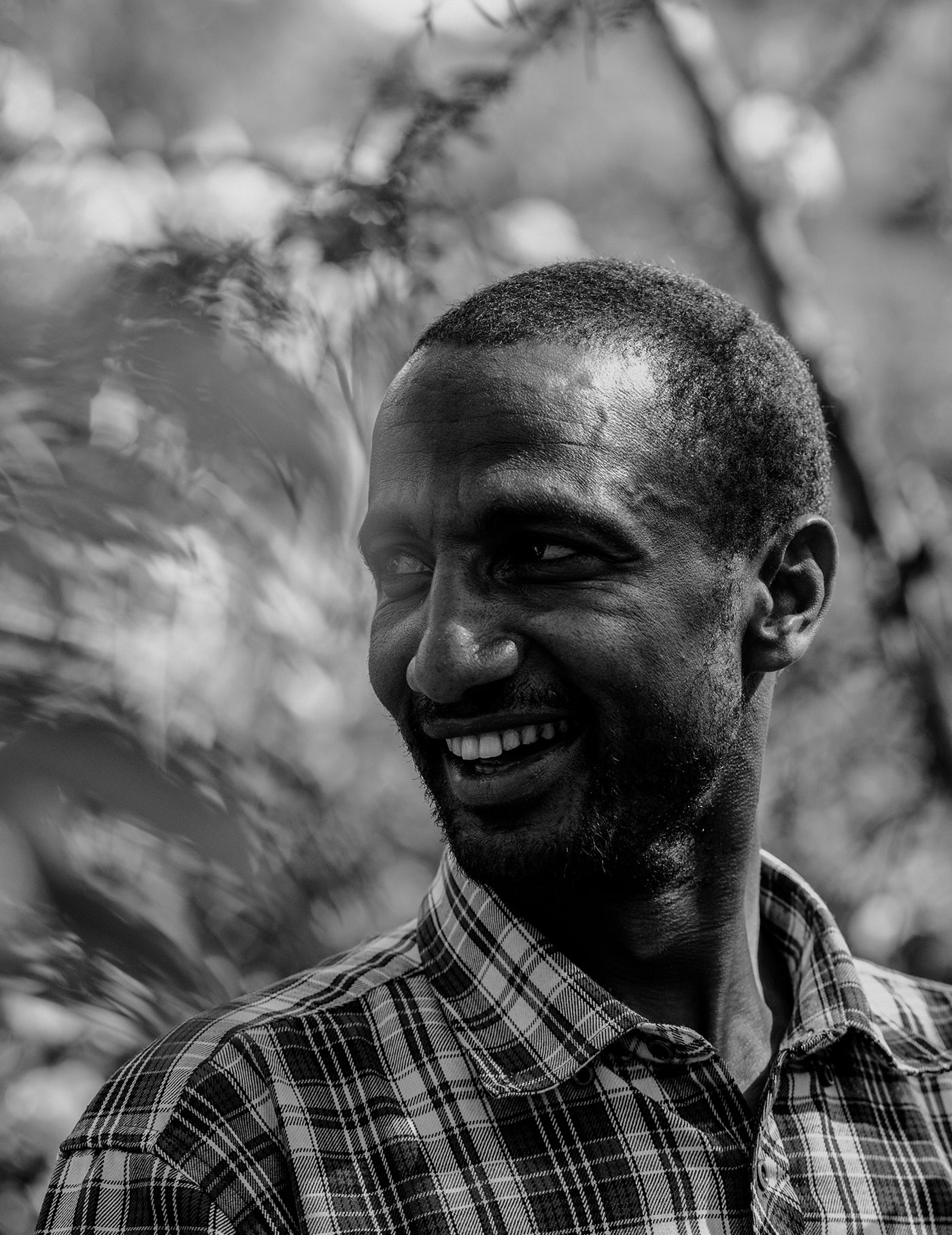 Ethiopia Bedaye