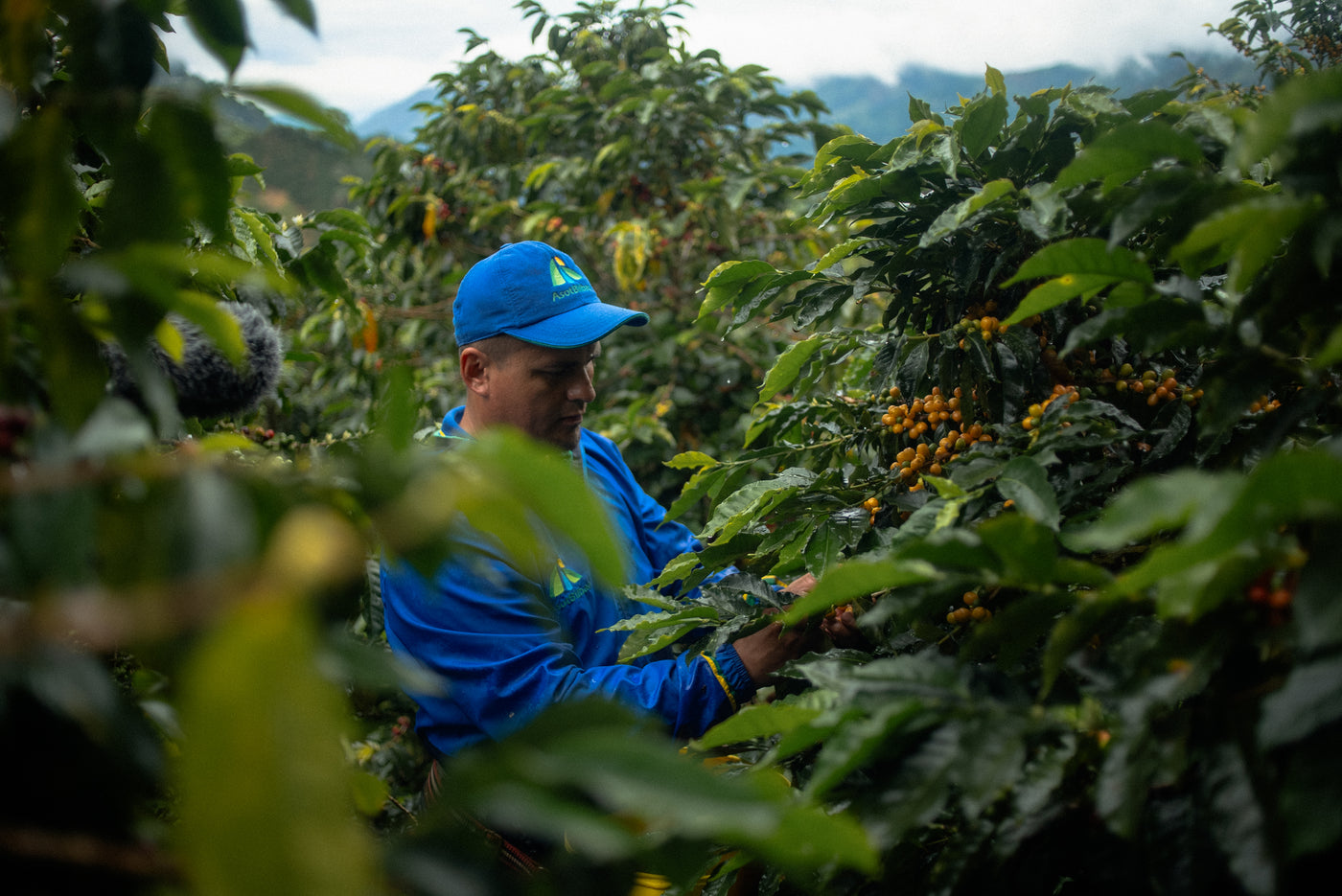 Colombia Yuver Andres (Preorder)